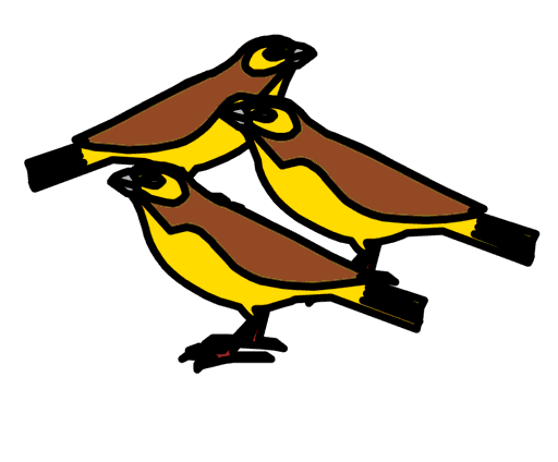 canaries
