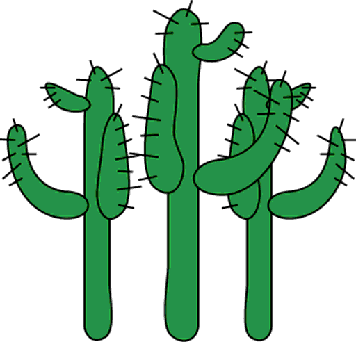 cacti