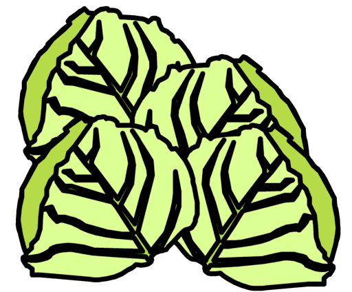 cabbages