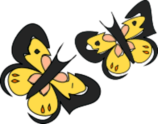 butterflies