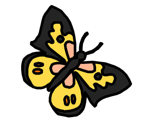 butterfly