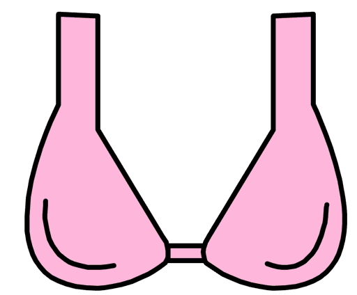 bra