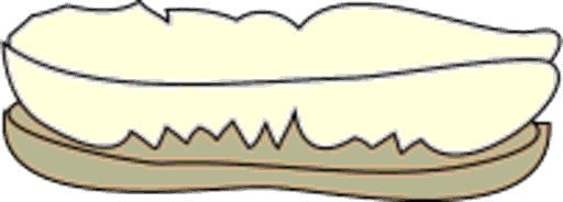 brush