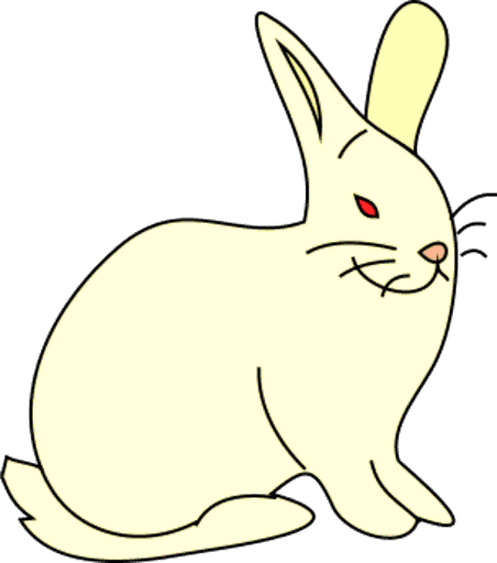 bunny