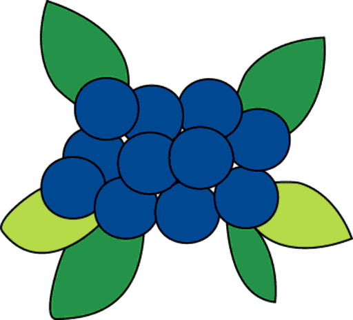 blueberry
