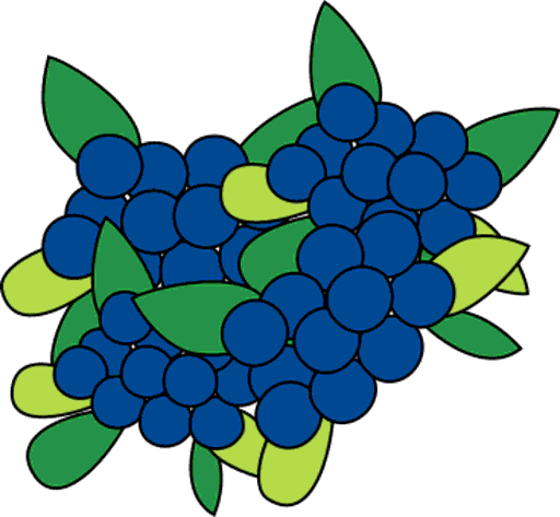 blueberries