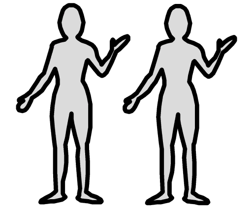 bodies