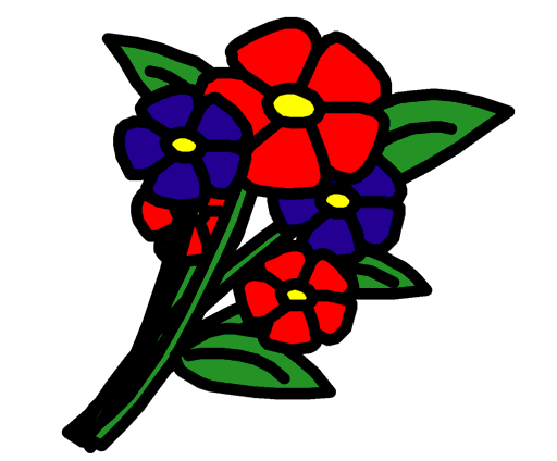 bouquet