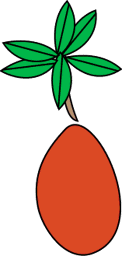 cranberry