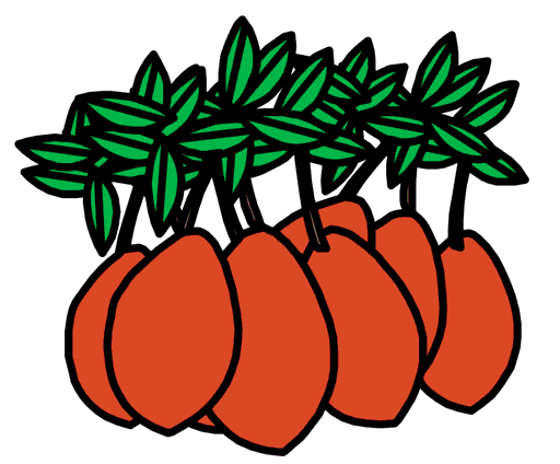 cranberries