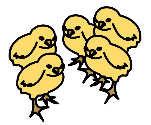 chicks