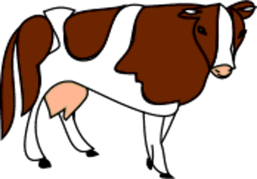 cow