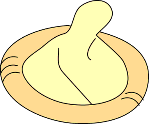 condom
