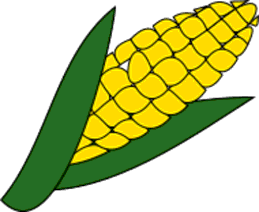 corn