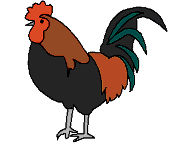 cock