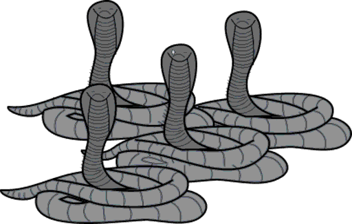 cobras