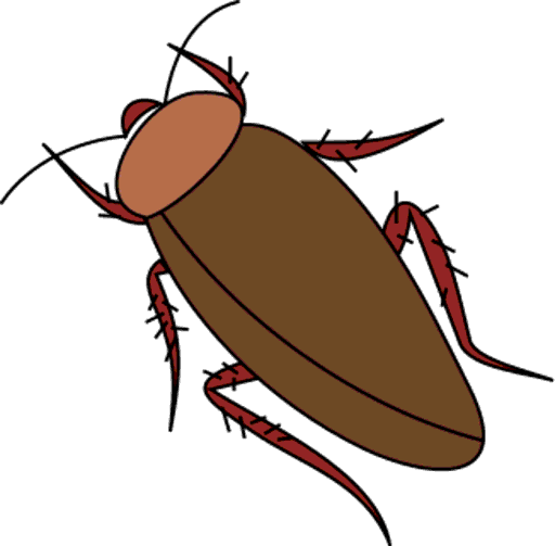 cockroach