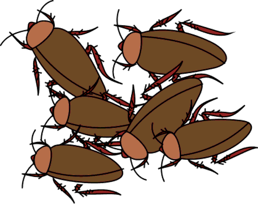 cockroaches