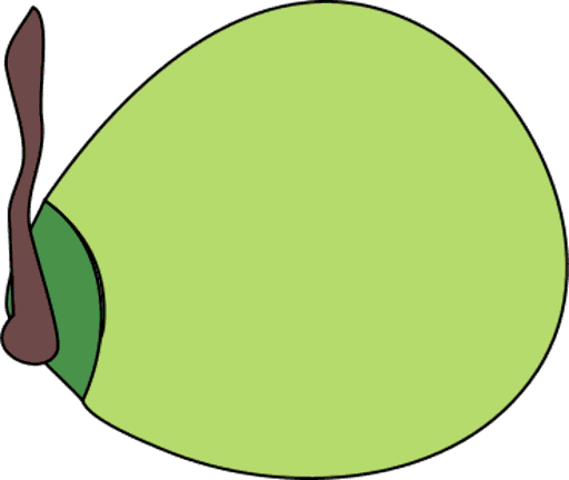 coconut
