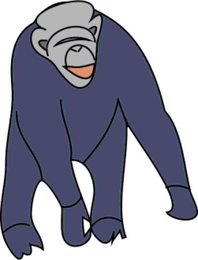 chimpanzee