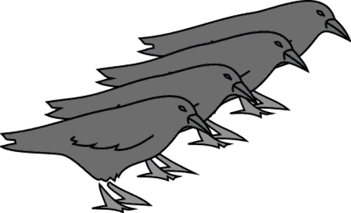crows