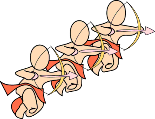 cupids