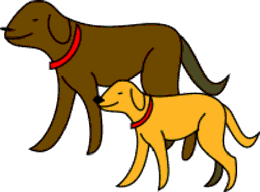 dogs