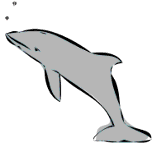dolphin