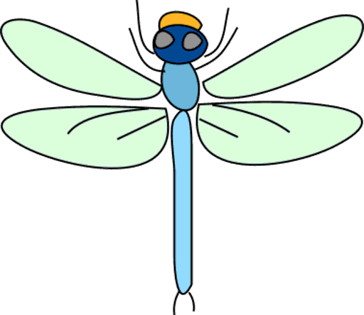 dragonfly