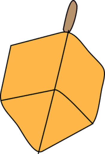 dreidel