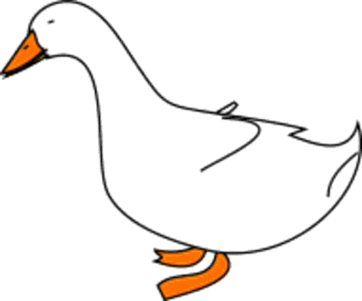 duck