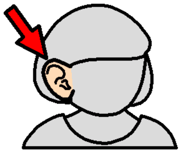 ear