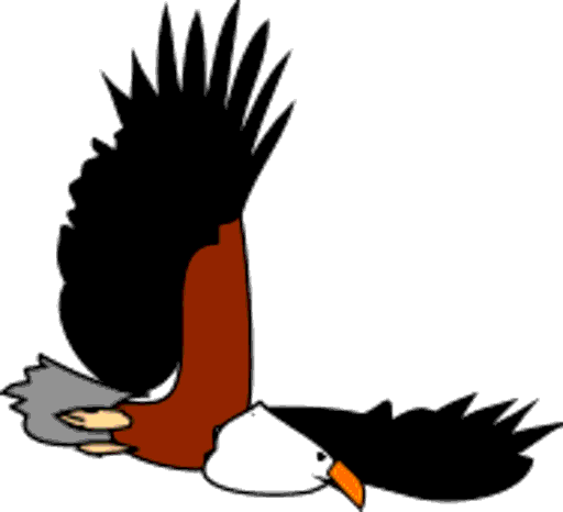 eagle