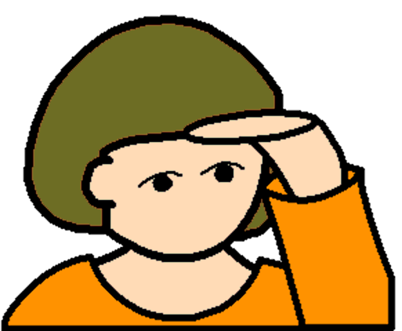 eye sight