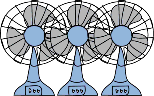 fans