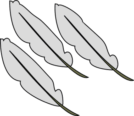 feathers