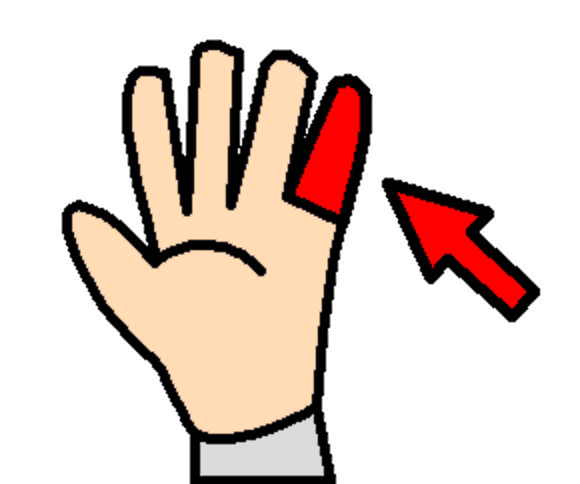 finger