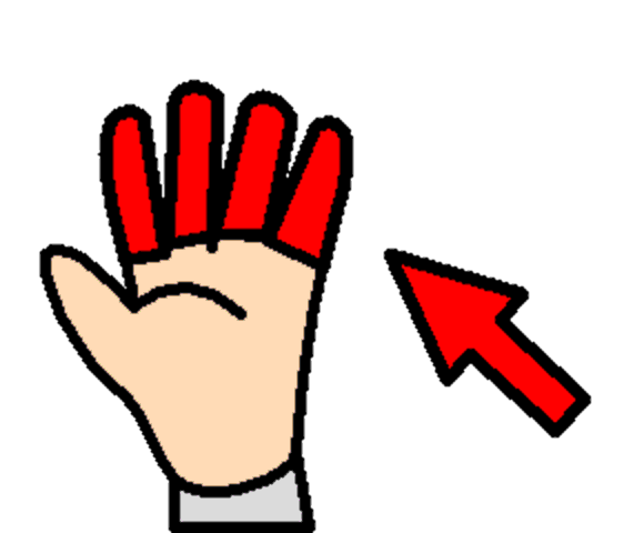 fingers
