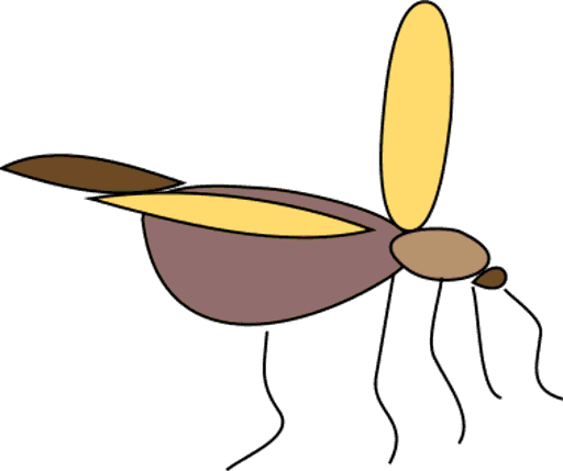 firefly