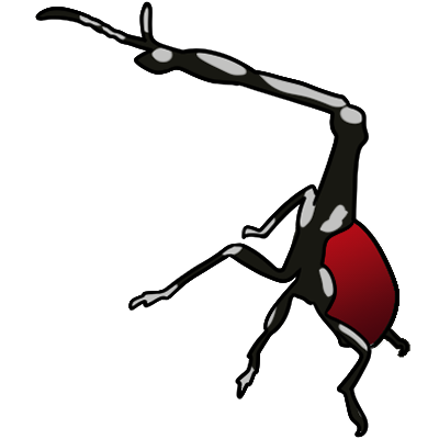 giraffe weevil