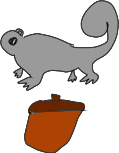 squirrel