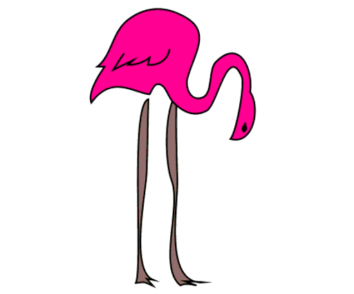 flamingo