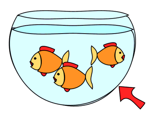 fishbowl