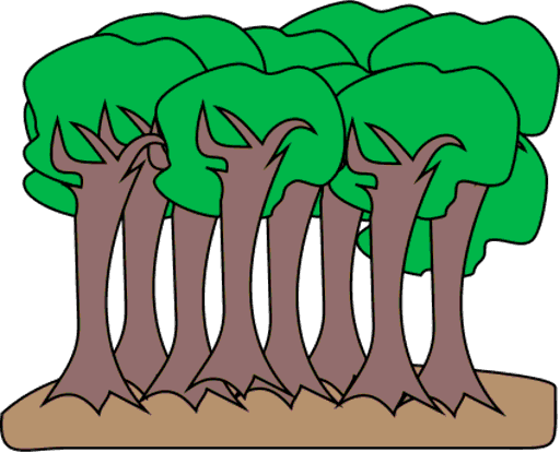 forest