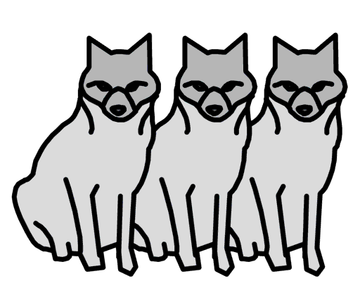 foxes