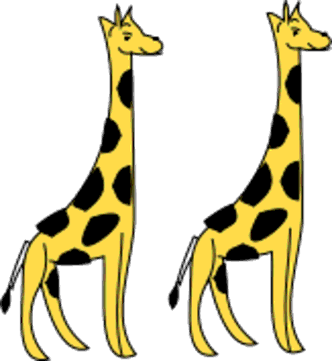 giraffes