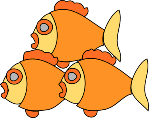 goldfish