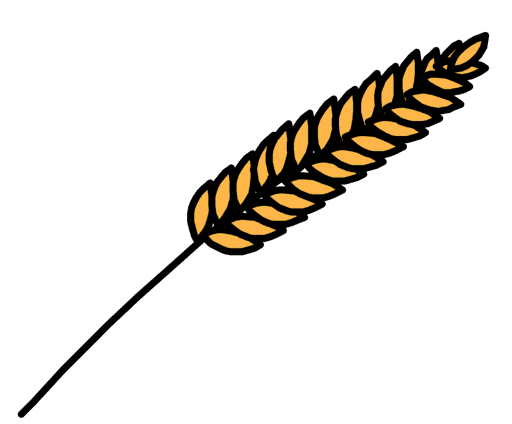 grain