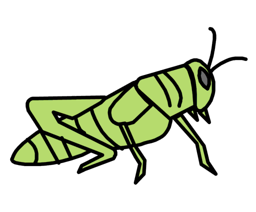 grasshopper