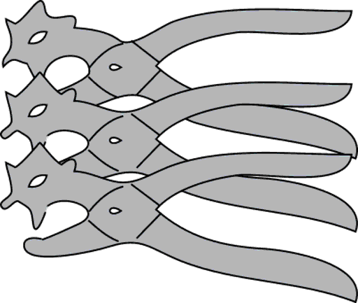 handpunches